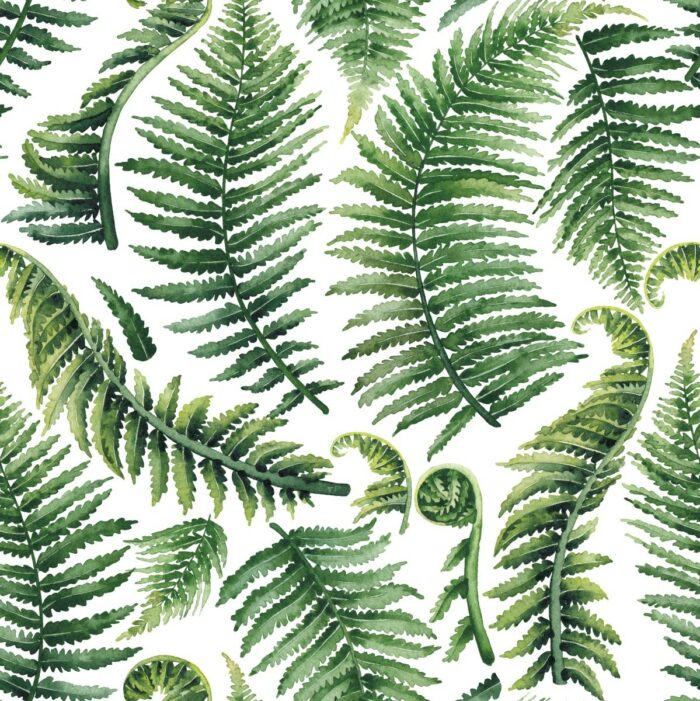 Tissu Imprimé Fougères, 7 tissus au choix