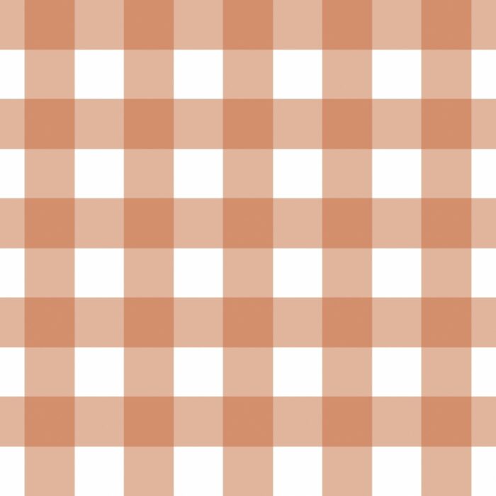 Tissu Imprimé Carreaux Vichy Terre Cuite, 7 tissus au choix