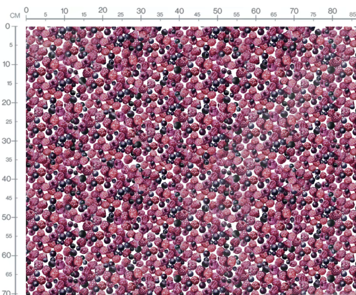 Tissu Imprimé Fruits Rouges Blanc, 7 tissus au choix – Image 2