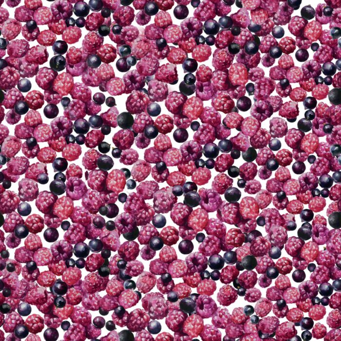 Tissu Imprimé Fruits Rouges Blanc, 7 tissus au choix