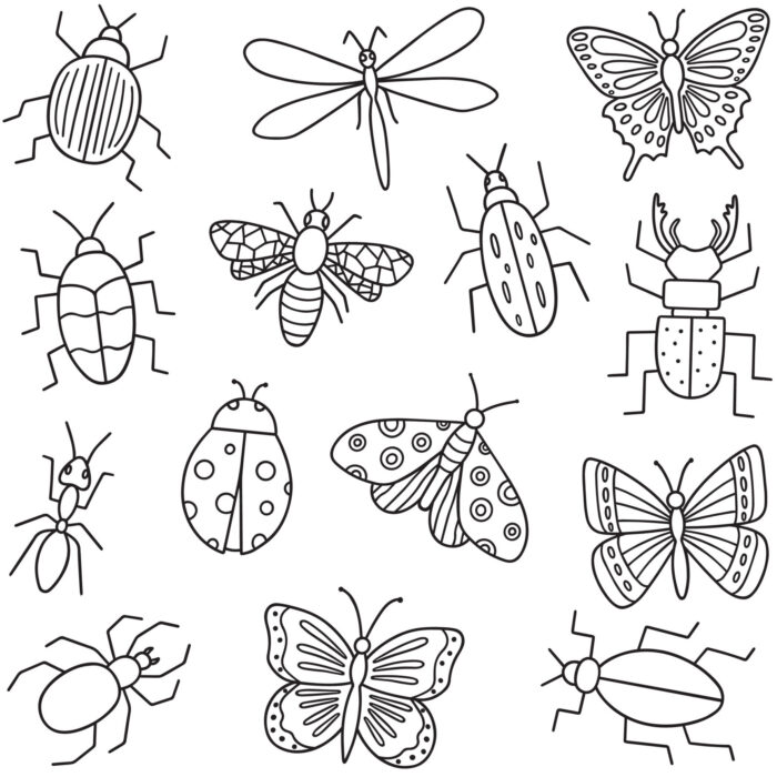 Tissu Imprimé Insectes A Colorier, 7 tissus au choix