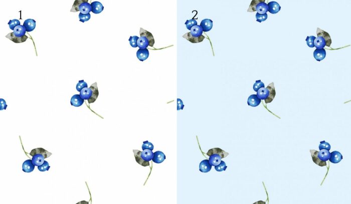 Tissu Imprimé Fruits Myrtilles Aquarelle, 2 coloris et 10 tissus au choix – Image 4
