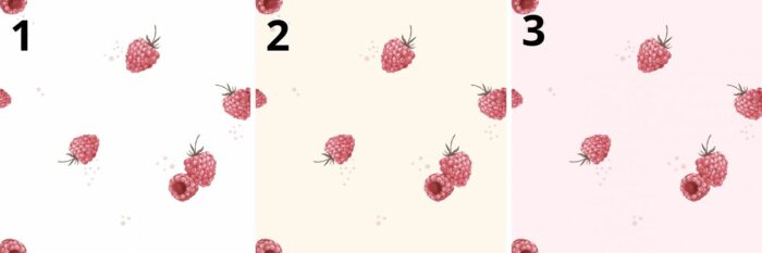 Tissu Imprimé Fruits Framboises, 3 coloris et 10 tissus au choix – Image 4