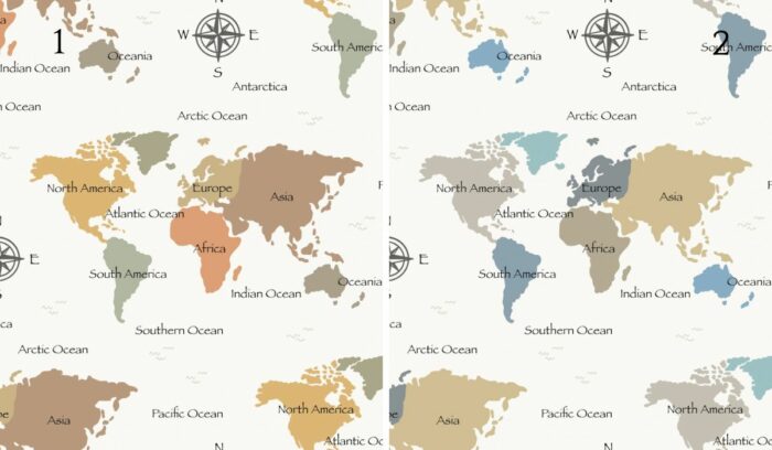 Tissu Imprimé Carte du Monde Boussole, 2 coloris et 11 tissus au choix – Image 4