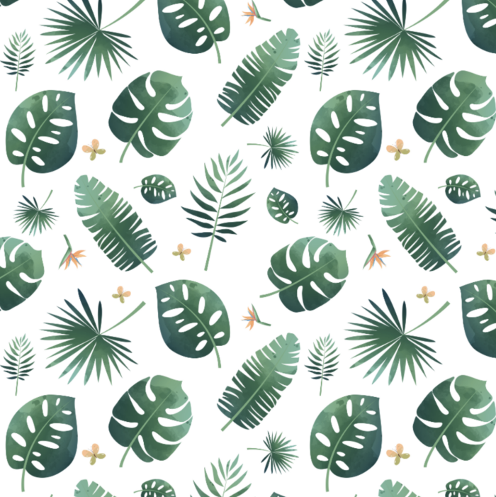 Tissu Exclusif Monstera Feuilles, 3 tailles et 11 tissus au choix