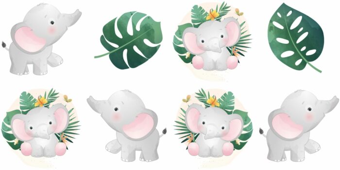 Panneau 8 lingettes lavables 12x12cm Monstera Elephant