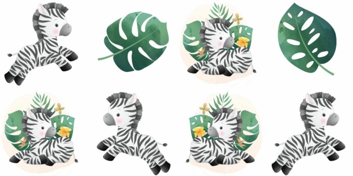 Panneau 8 lingettes lavables 12x12cm Monstera Zebre