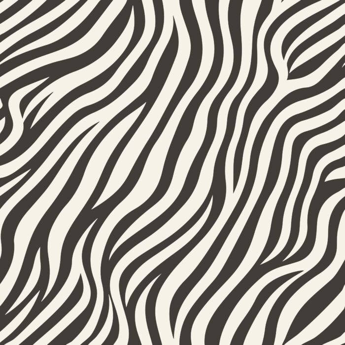 Tissu Imprimé Animal Zebre, 11 tissus au choix