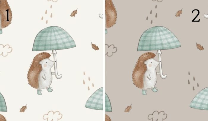 Tissu Imprimé Herisson Parapluie, 2 coloris et 11 tissus au choix – Image 4