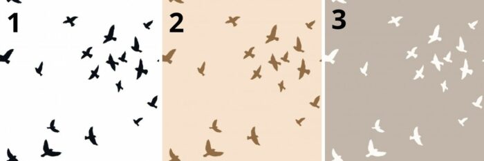 Tissu Imprimé Oiseaux Liberté, 3 coloris et 11 tissus au choix – Image 4