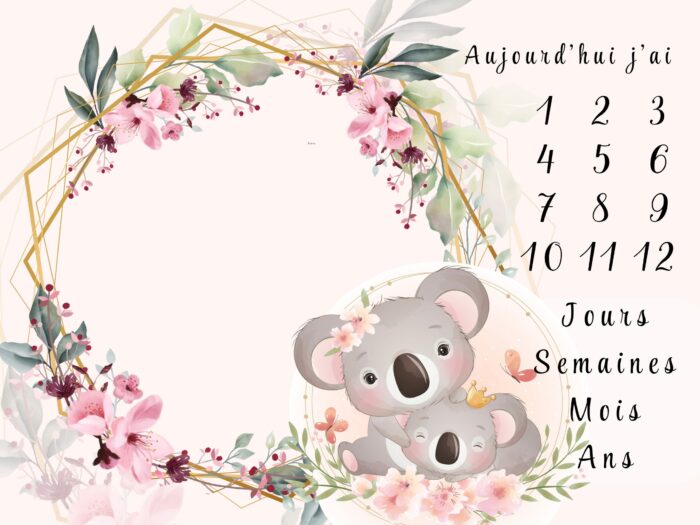 Panneau Tissu Tapis Etapes Lovely Koala Rose, 2 tailles