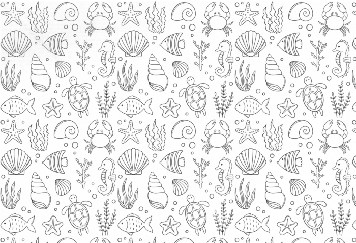 Set de Table à Colorier, réutilisable, La Mer