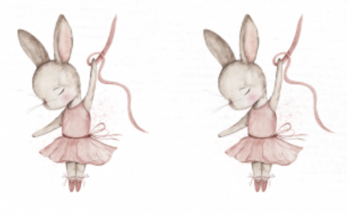 Lot Thermocollant pour tissus Lapin Ballerine
