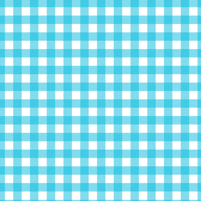 Tissu Imprimé Vichy 28 Bleu Celeste, 10 tissus au choix