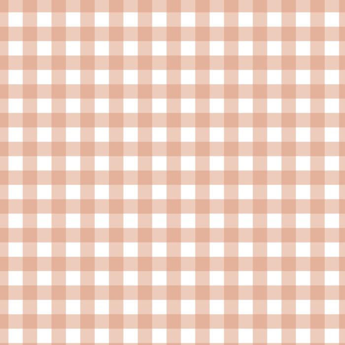 Tissu Imprimé Vichy 90 Nude, 10 tissus au choix