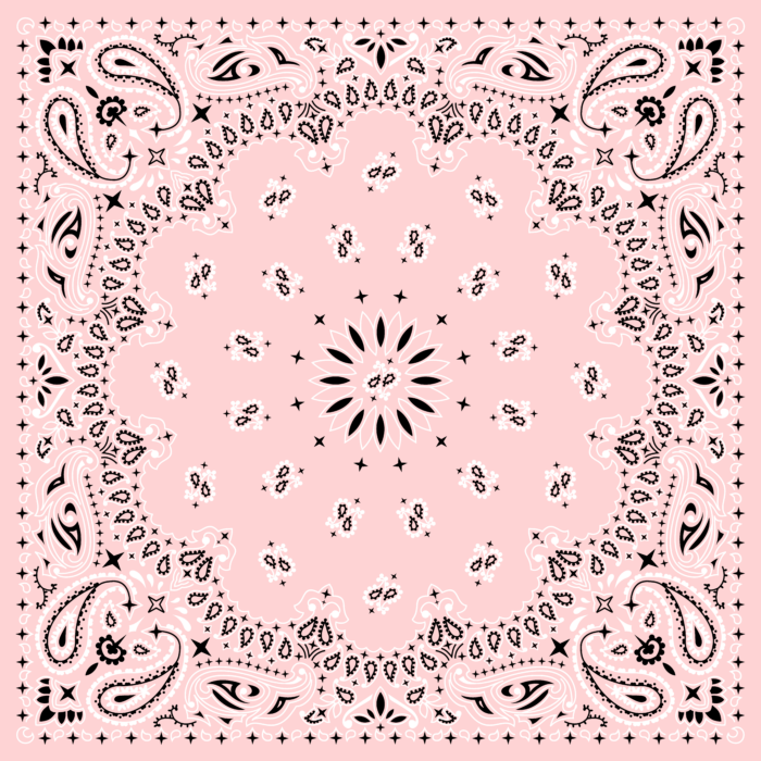 Tissu Imprimé Bandana Paisley 19 Rose Nude, 10 tissus au choix