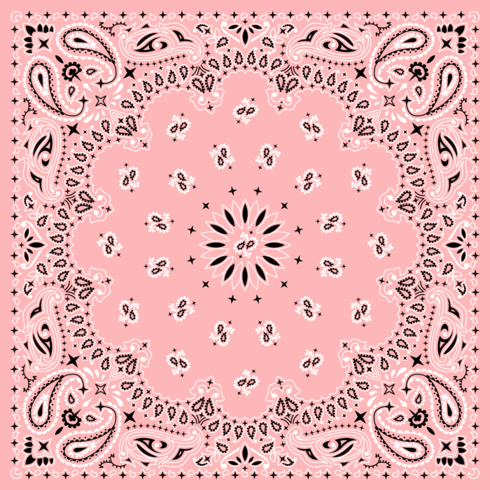 Tissu Imprimé Bandana Paisley 20 Rose Peche, 10 tissus au choix