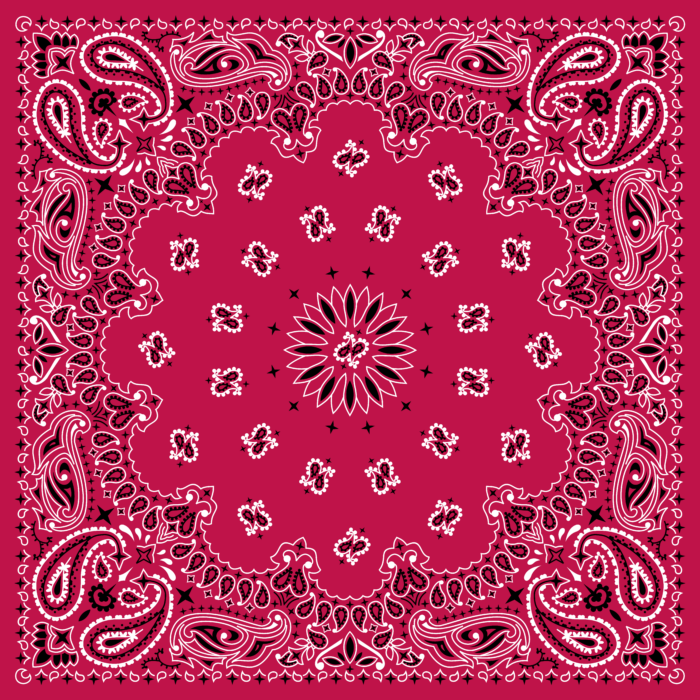 Tissu Imprimé Bandana Paisley 21 Grenade Carré, 10 tissus au choix