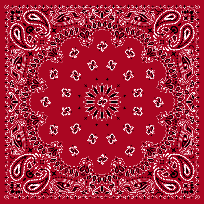 Tissu Imprimé Bandana Paisley 25 Rouge Foncé, 10 tissus au choix