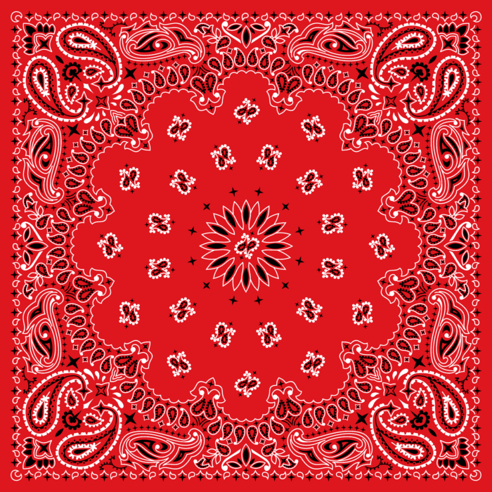 Tissu Imprimé Bandana Paisley 26 Rouge Orange, 10 tissus au choix