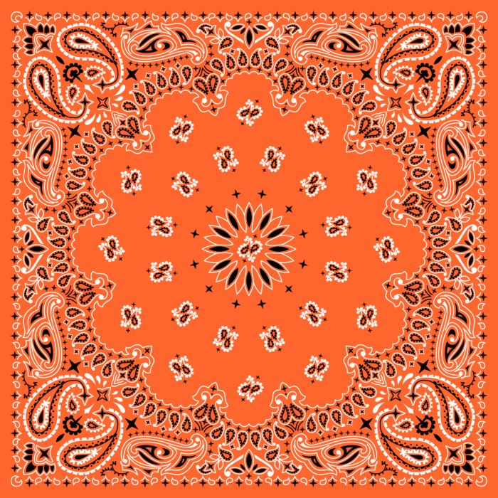 Tissu Imprimé Bandana Paisley 34 Clementine Carré, 10 tissus au choix