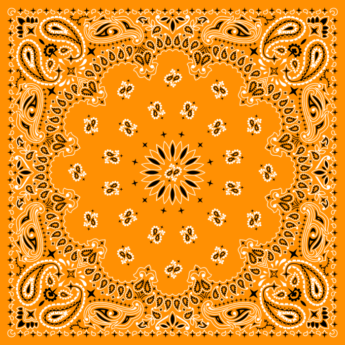 Tissu Imprimé Bandana Paisley 36 Orange Clair, 10 tissus au choix