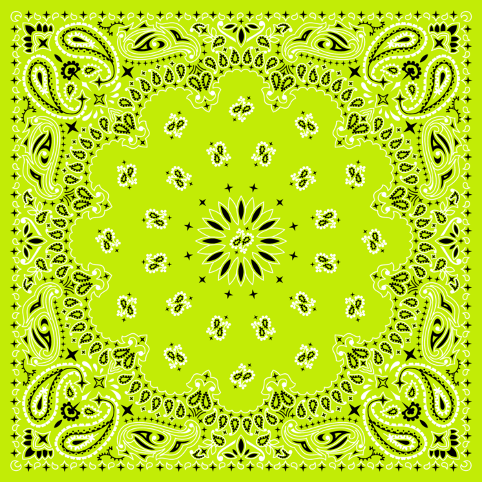 Tissu Imprimé Bandana Paisley 41 Vert Lime, 10 tissus au choix