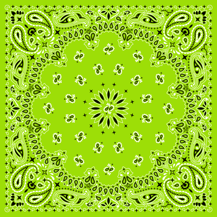 Tissu Imprimé Bandana Paisley 42 Vert Pomme, 10 tissus au choix