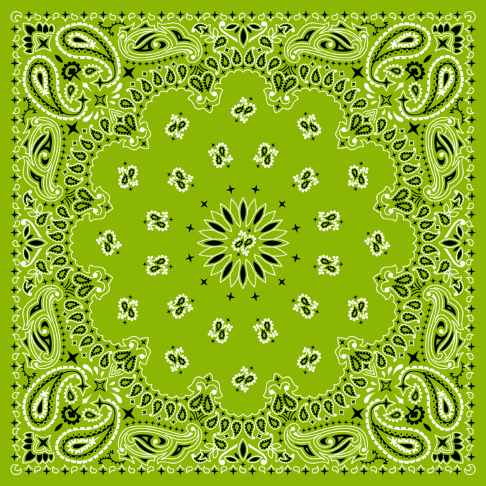 Tissu Imprimé Bandana Paisley 43 Vert Tilleul, 10 tissus au choix