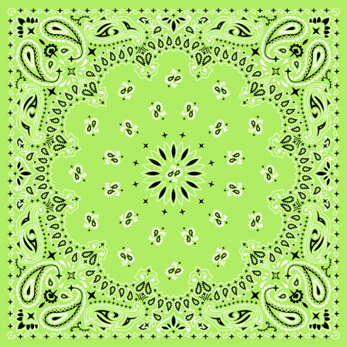 Tissu Imprimé Bandana Paisley 44 Vert Pistache, 10 tissus au choix