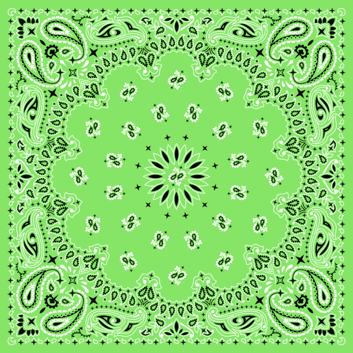 Tissu Imprimé Bandana Paisley 45 Vert Jade, 10 tissus au choix