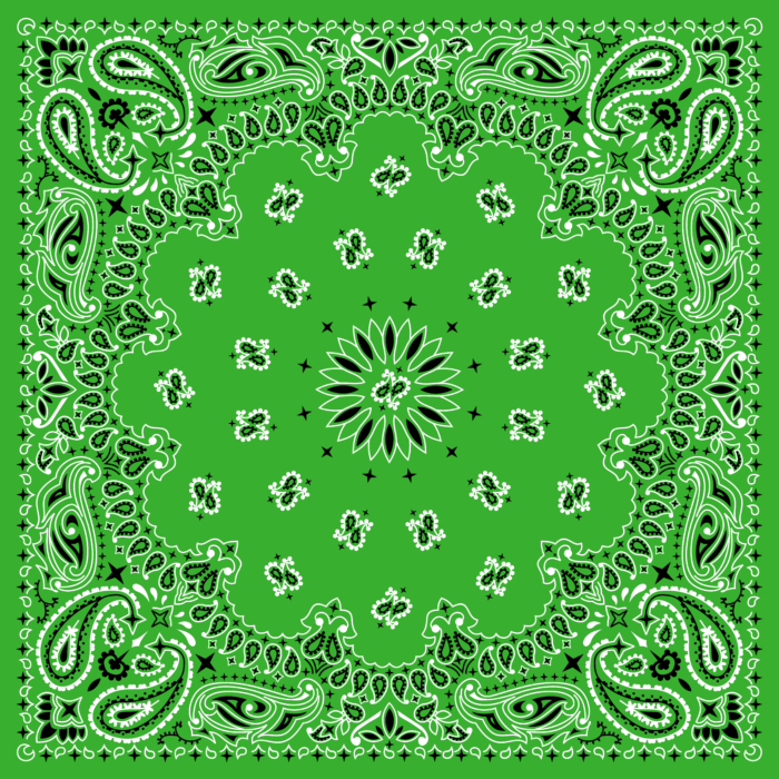 Tissu Imprimé Bandana Paisley 46 Vert Gazon, 10 tissus au choix