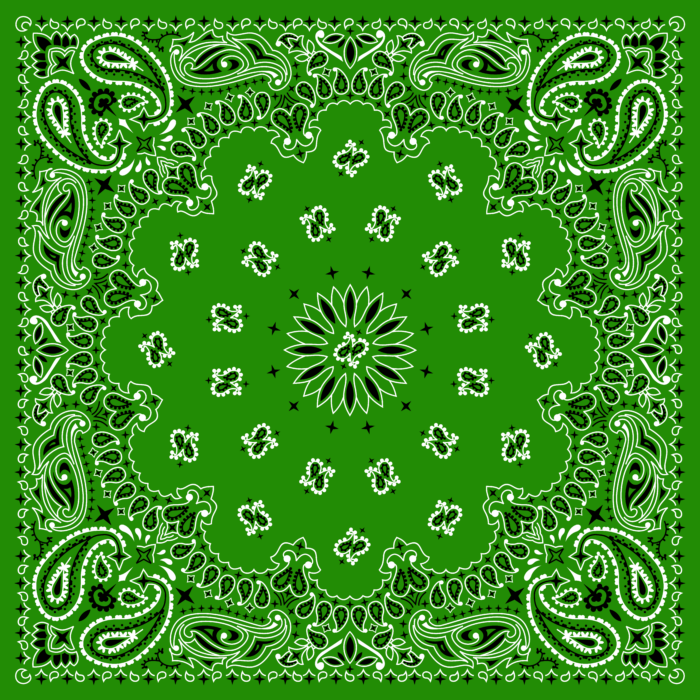Tissu Imprimé Bandana Paisley 47 Vert Bouteille, 10 tissus au choix
