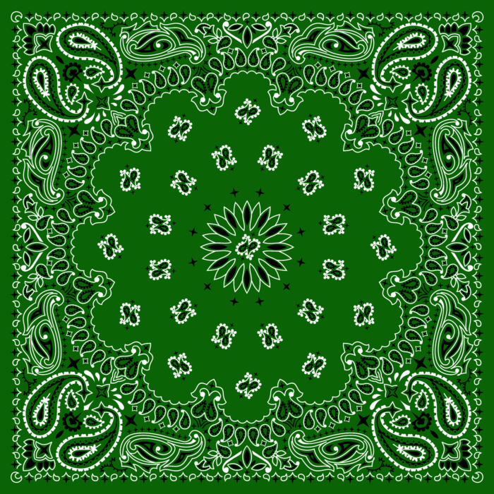 Tissu Imprimé Bandana Paisley 49 Vert Foret, 10 tissus au choix