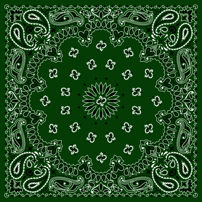 Tissu Imprimé Bandana Paisley 50 Vert Sapin, 10 tissus au choix
