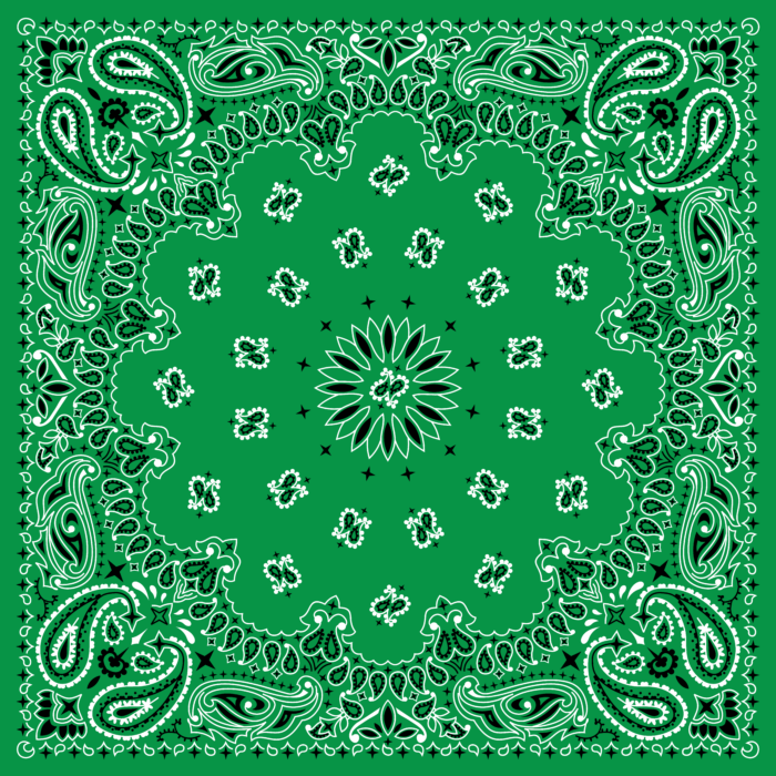 Tissu Imprimé Bandana Paisley 51 Vert Feuille, 10 tissus au choix