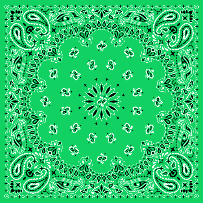 Tissu Imprimé Bandana Paisley 52 Vert Intense, 10 tissus au choix