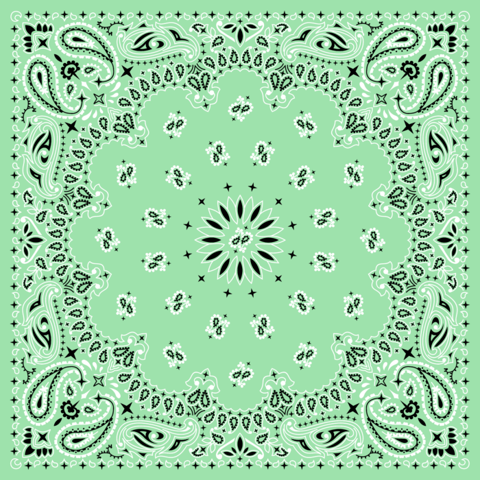 Tissu Imprimé Bandana Paisley 53 Vert Pastel, 10 tissus au choix