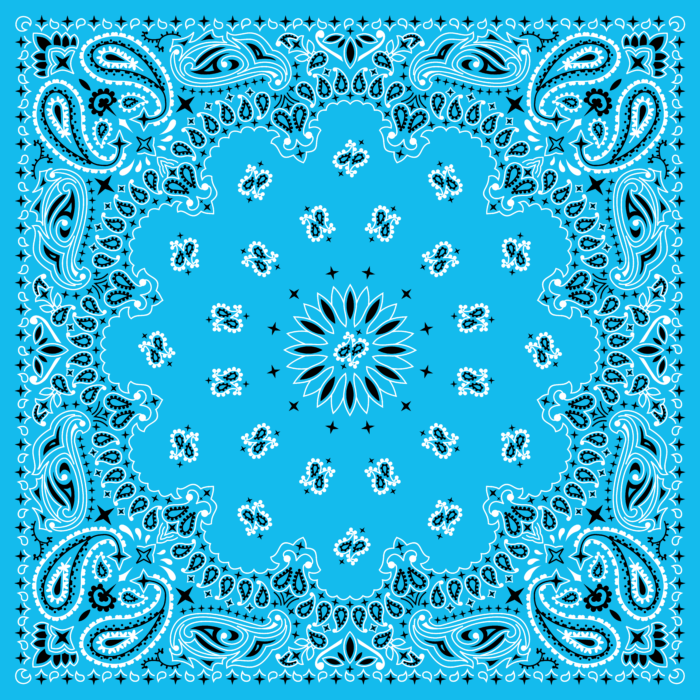 Tissu Imprimé Bandana Paisley 68 Bleu Ciel, 10 tissus au choix