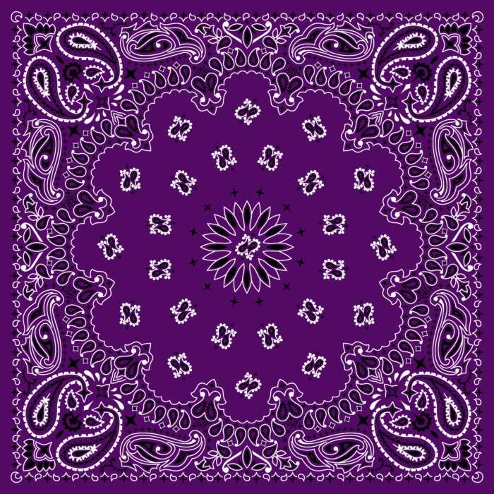 Tissu Imprimé Bandana Paisley 07 Myrtille, 10 tissus au choix