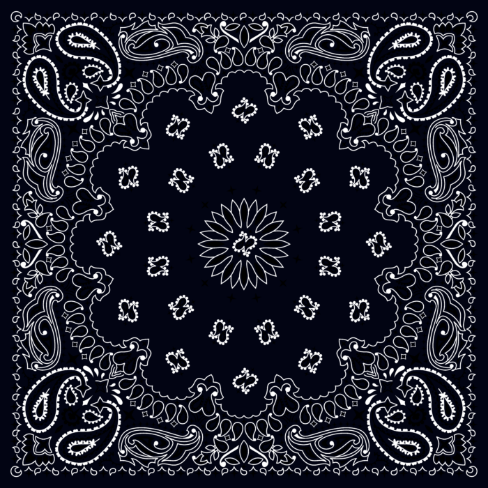 Tissu Imprimé Bandana Paisley 72 Noir, 10 tissus au choix