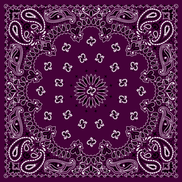 Tissu Imprimé Bandana Paisley 08 Aubergine, 10 tissus au choix