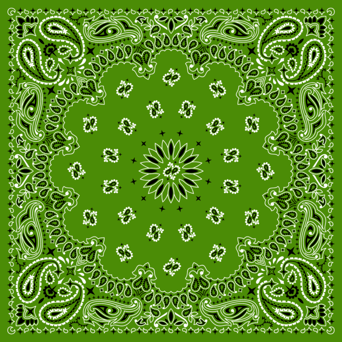 Tissu Imprimé Bandana Paisley 48 Vert Carré, 10 tissus au choix
