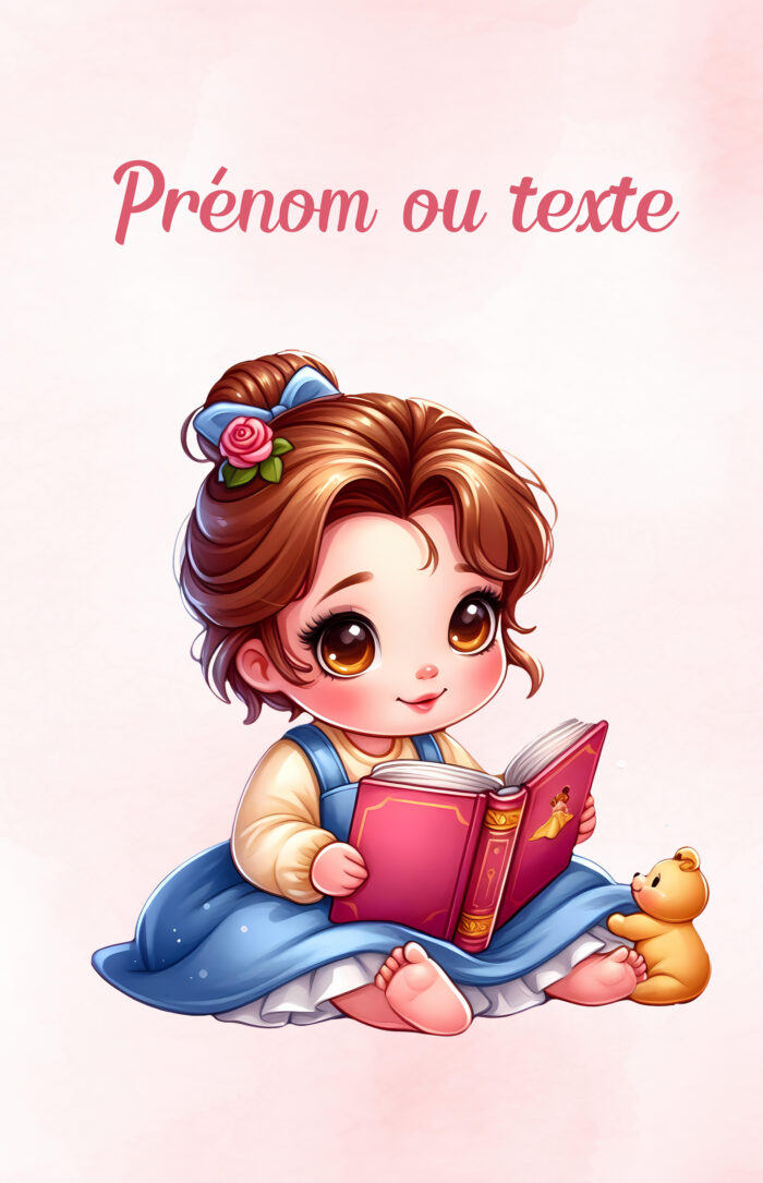 Panneau Couverture Princesse Livre