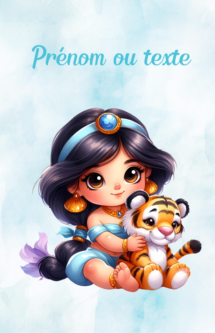 Panneau Couverture Princesse Orientale